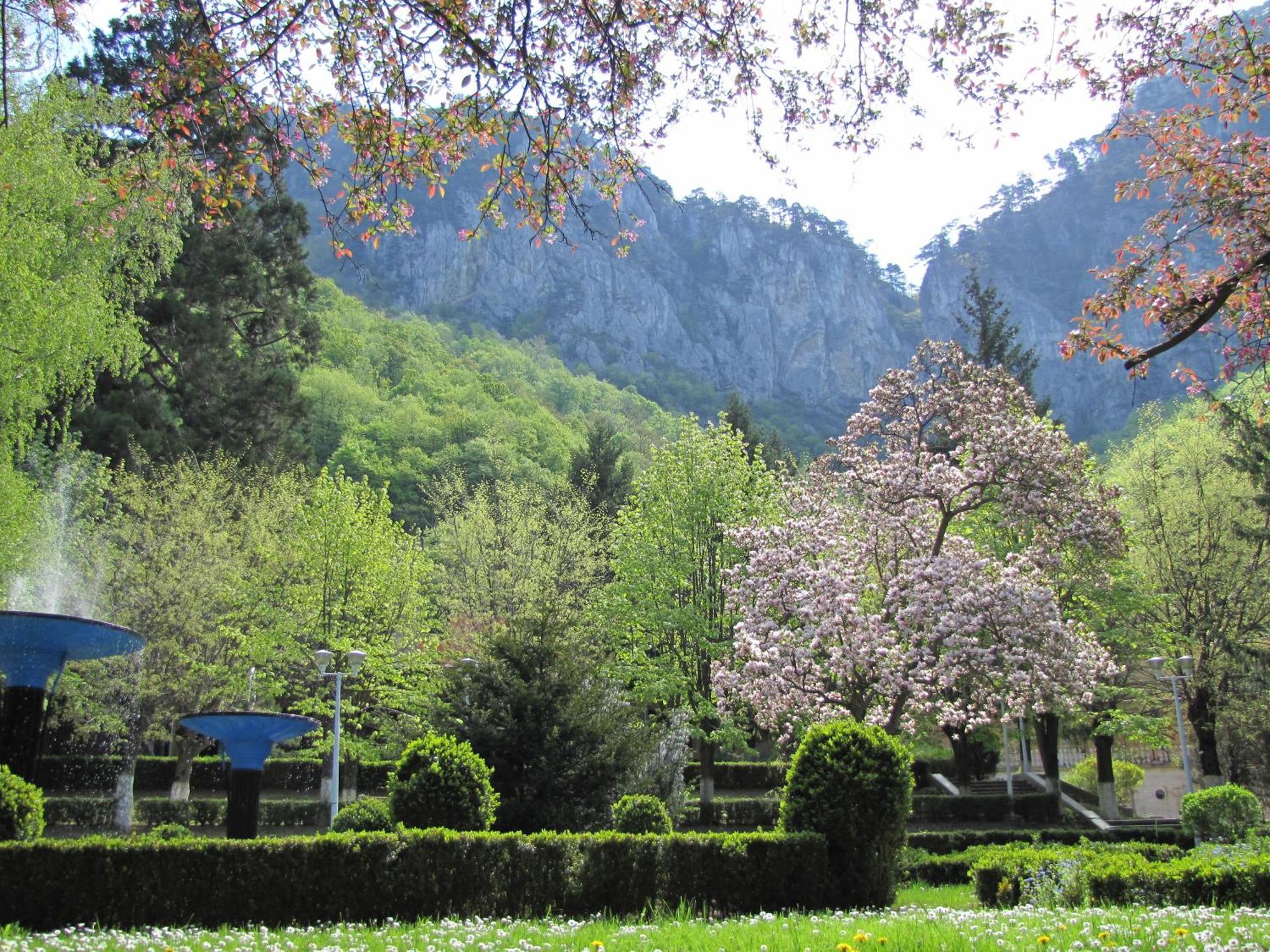 Guesthouse Magic Băile Herculane Εξωτερικό φωτογραφία