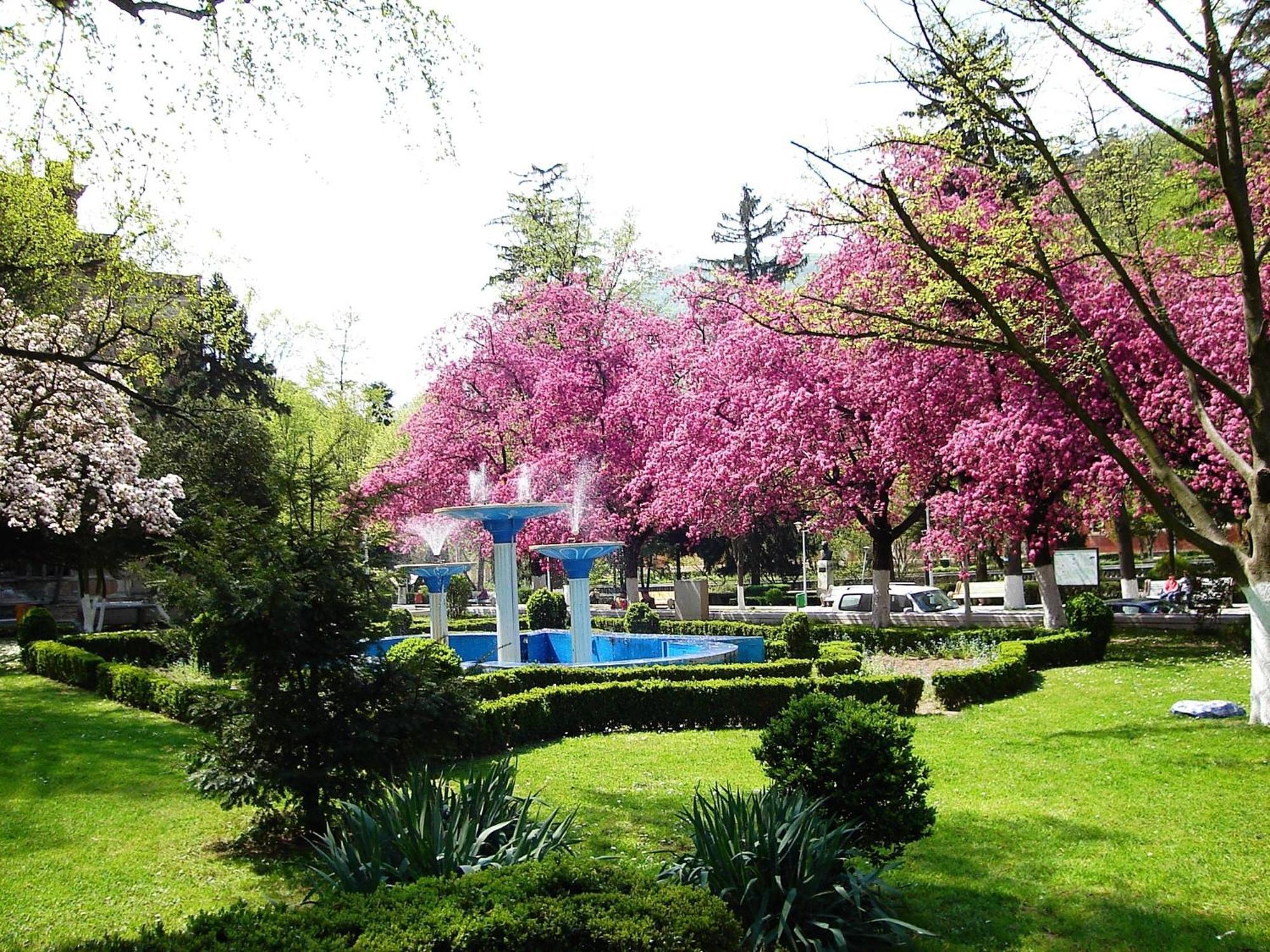 Guesthouse Magic Băile Herculane Εξωτερικό φωτογραφία