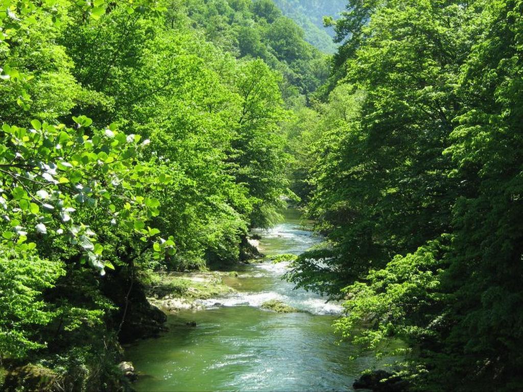 Guesthouse Magic Băile Herculane Εξωτερικό φωτογραφία